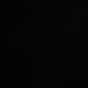 Meet your Posher, Dylan